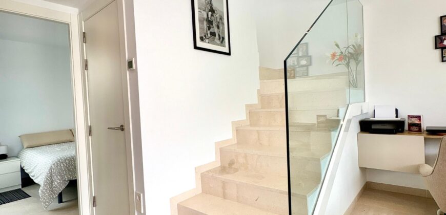 Lavanda Villa Santa Rosalia