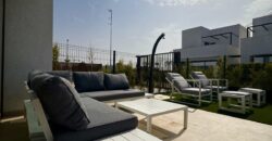 Lavanda Villa Santa Rosalia