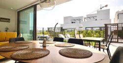 Lavanda Villa Santa Rosalia