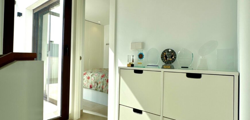 Lavanda Villa Santa Rosalia