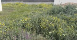 Terreno en Los Alcázares