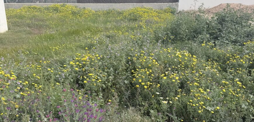 Terreno en Los Alcázares