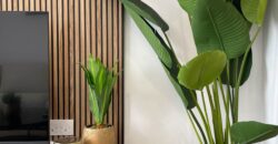 APARTMENTO LEVANSUR