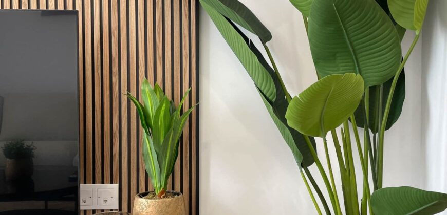 APARTMENTO LEVANSUR