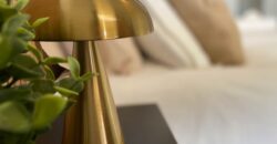 APARTMENTO LEVANSUR